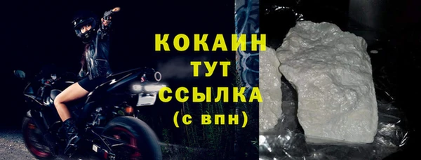 ешки Корсаков
