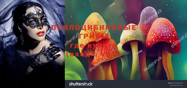 гидра Алзамай