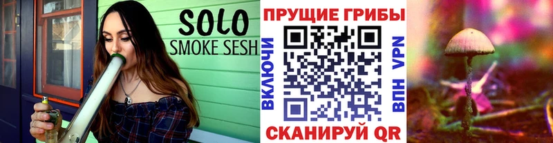 Псилоцибиновые грибы Psilocybine cubensis  blacksprut маркетплейс  Гдов 